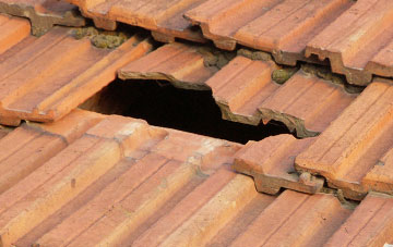 roof repair Tinhay, Devon
